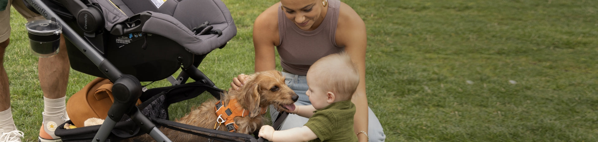 Image of child playing with a dog in Pivot Troop