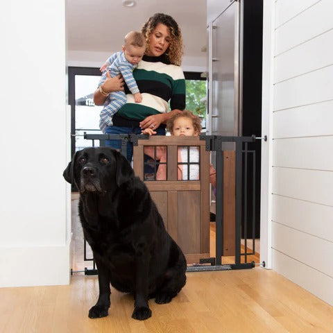 Barn Door Walk-Thru Gate - Feature Image 4