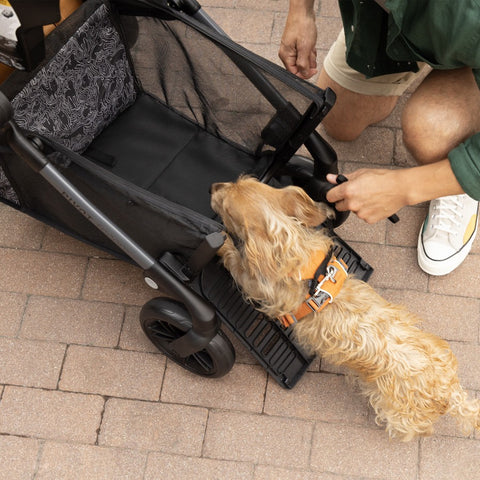 Pivot Troop Child and Pet Modular Travel System - Feature Image 3