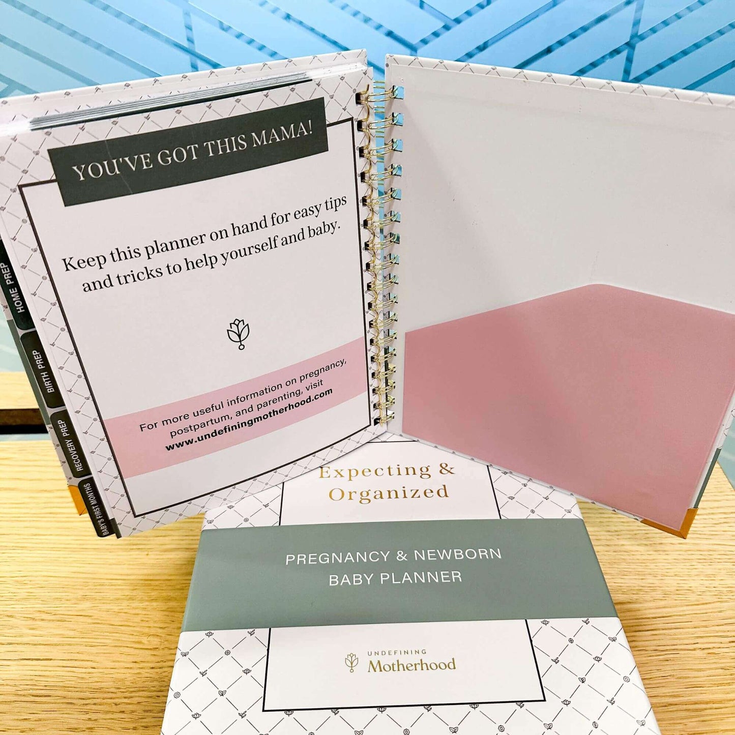 Expecting & Organized: Pregnancy Planner & New Baby Organizer