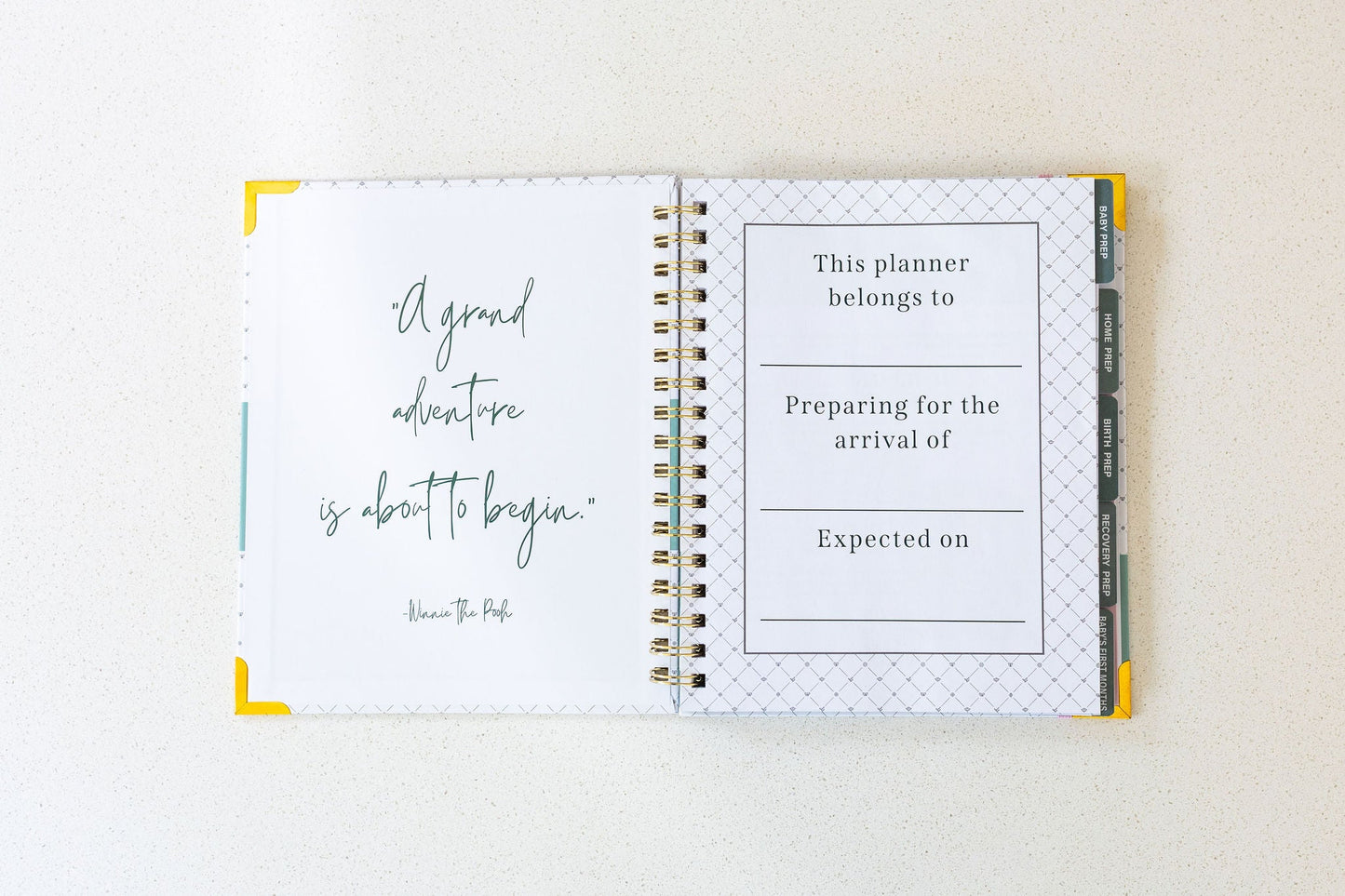 Expecting & Organized: Pregnancy Planner & New Baby Organizer