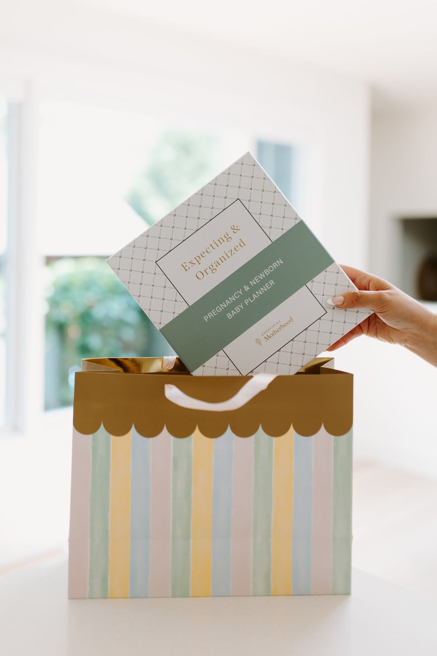 Expecting & Organized: Pregnancy Planner & New Baby Organizer