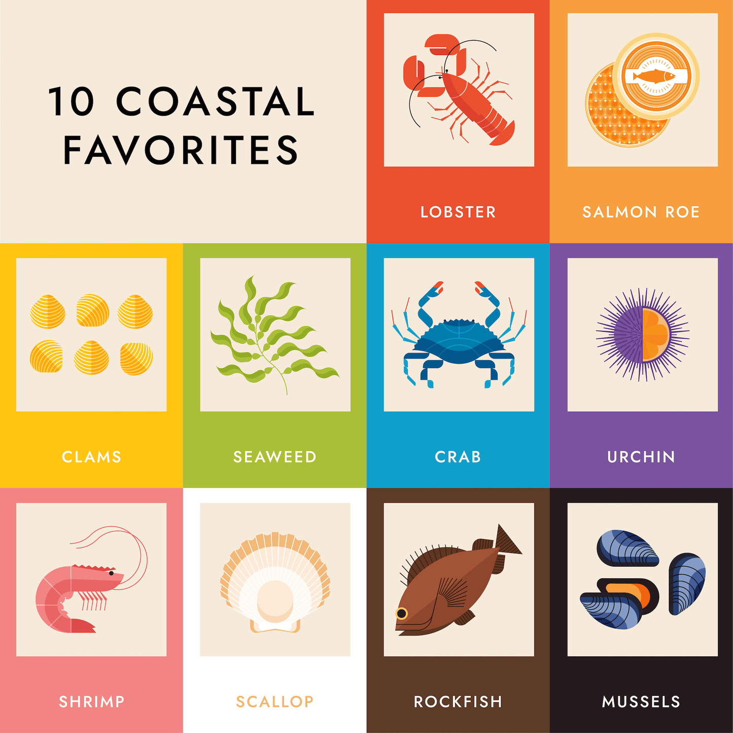 Seafood Rainbow Board Book