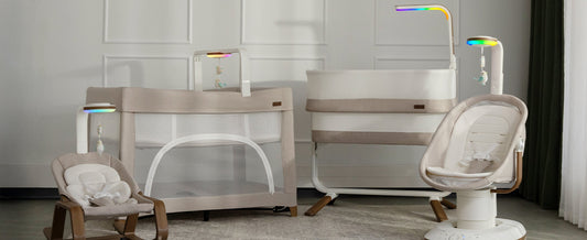 The Complete Guide to Evenflo's Home Collection