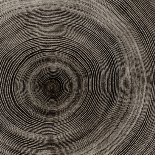 Wood 1