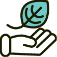 Leaf and Hand