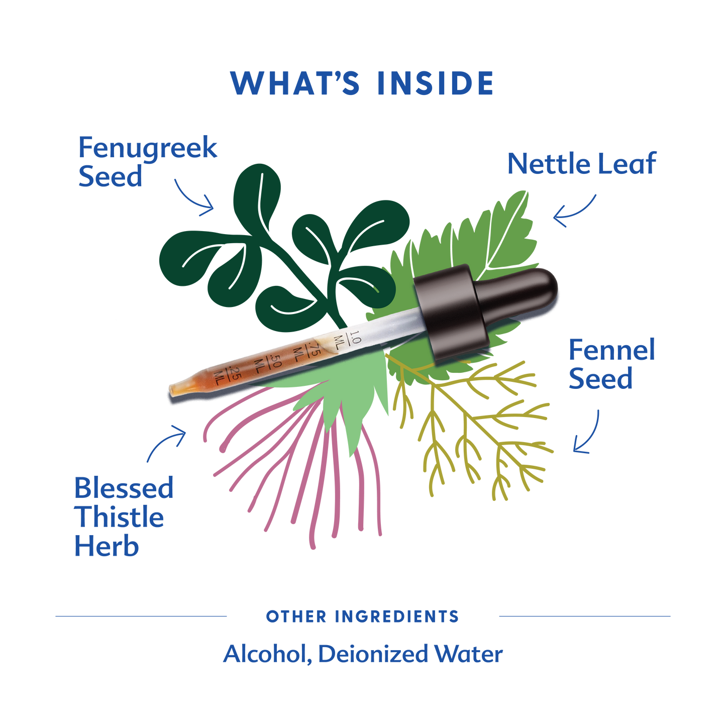 More Milk Plus® - Traditional Tincture