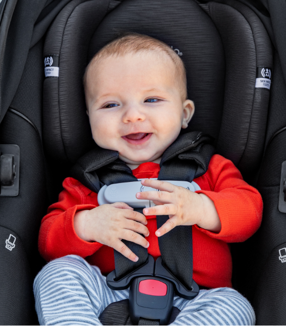 Baby in the carrier