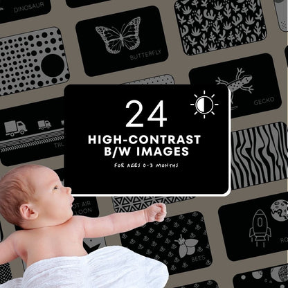 High-Contrast Vision Development Cards
