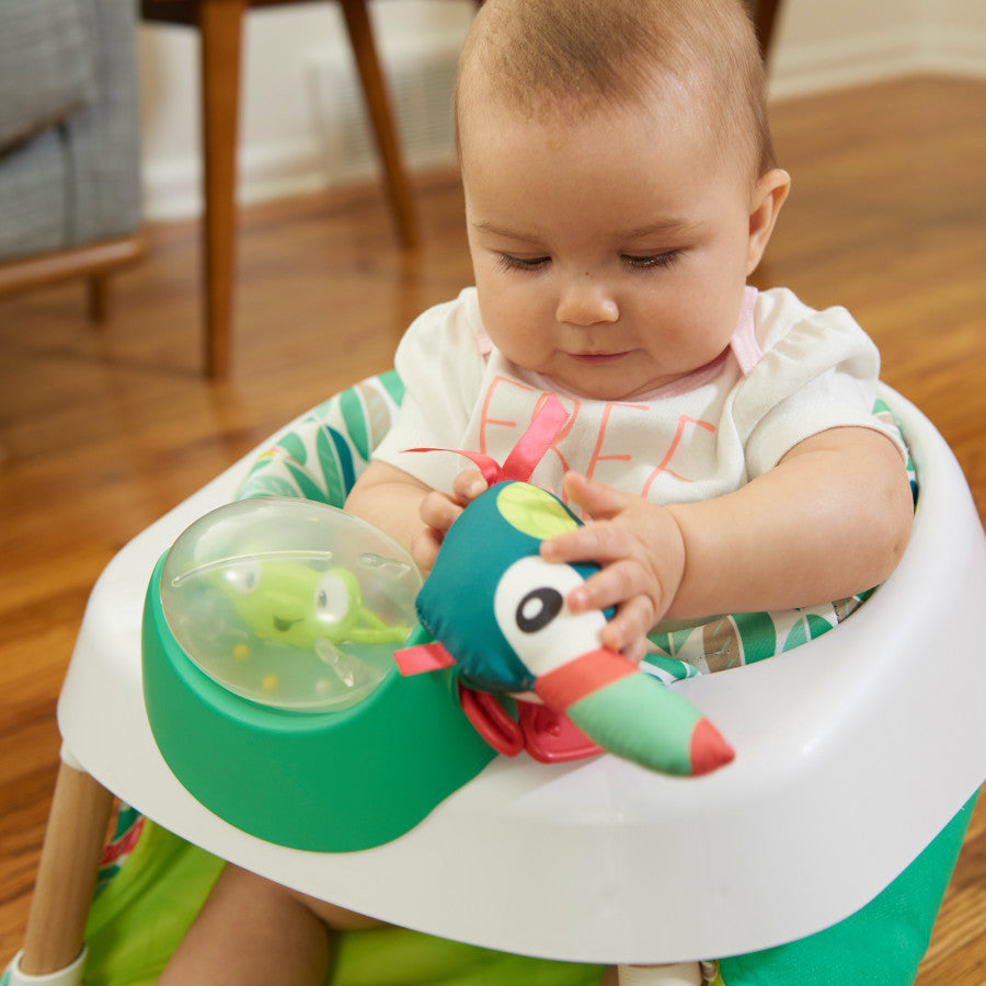 Baby Seat & Play Chair