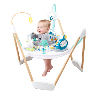 evenflo exersaucer jumper safari friends Exersaucer Woodland Wonder Activity Jumper