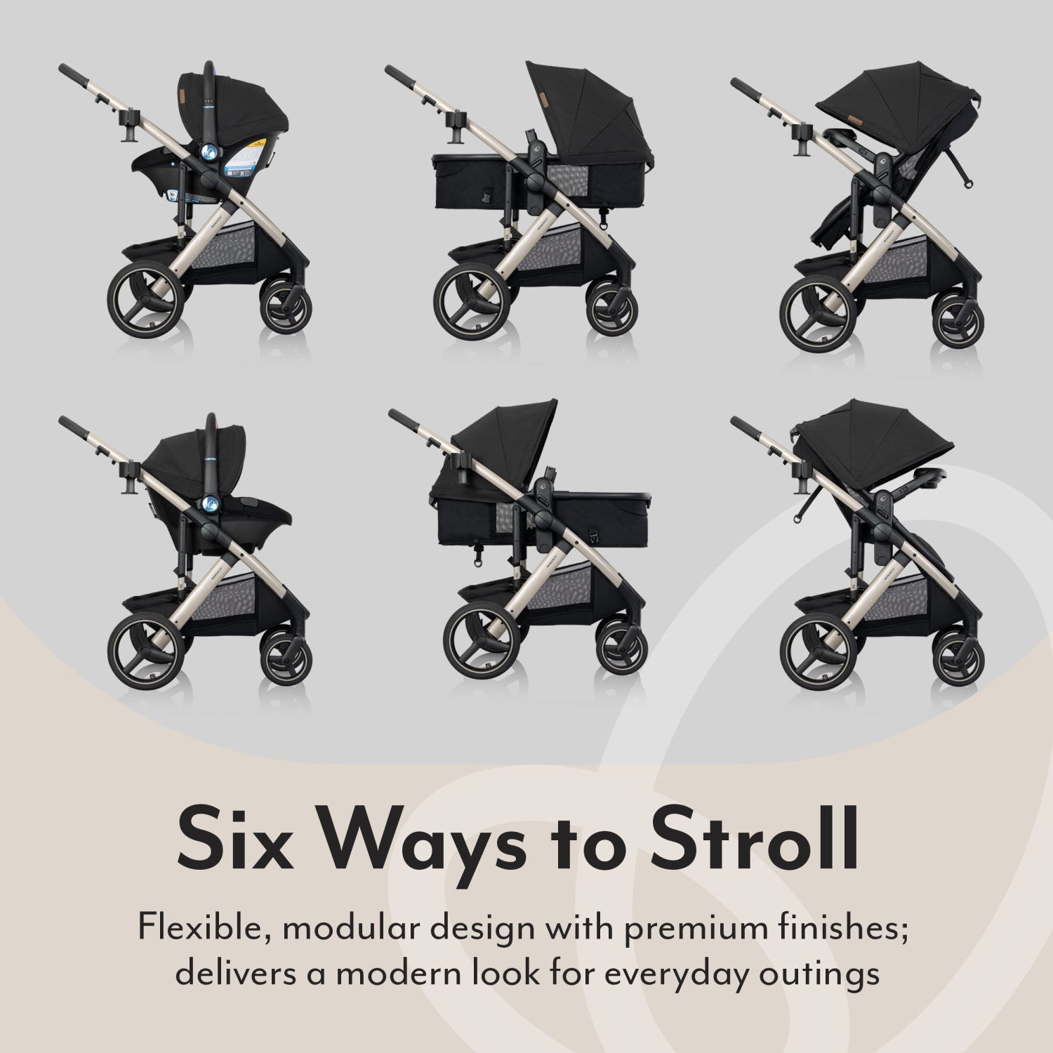 king ファミリー Evenflo Monarch Travel System with LiteMax NXT Infant Car Seat