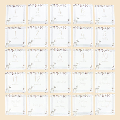 Infant Milestone + Memory Cards (0-12 months)
