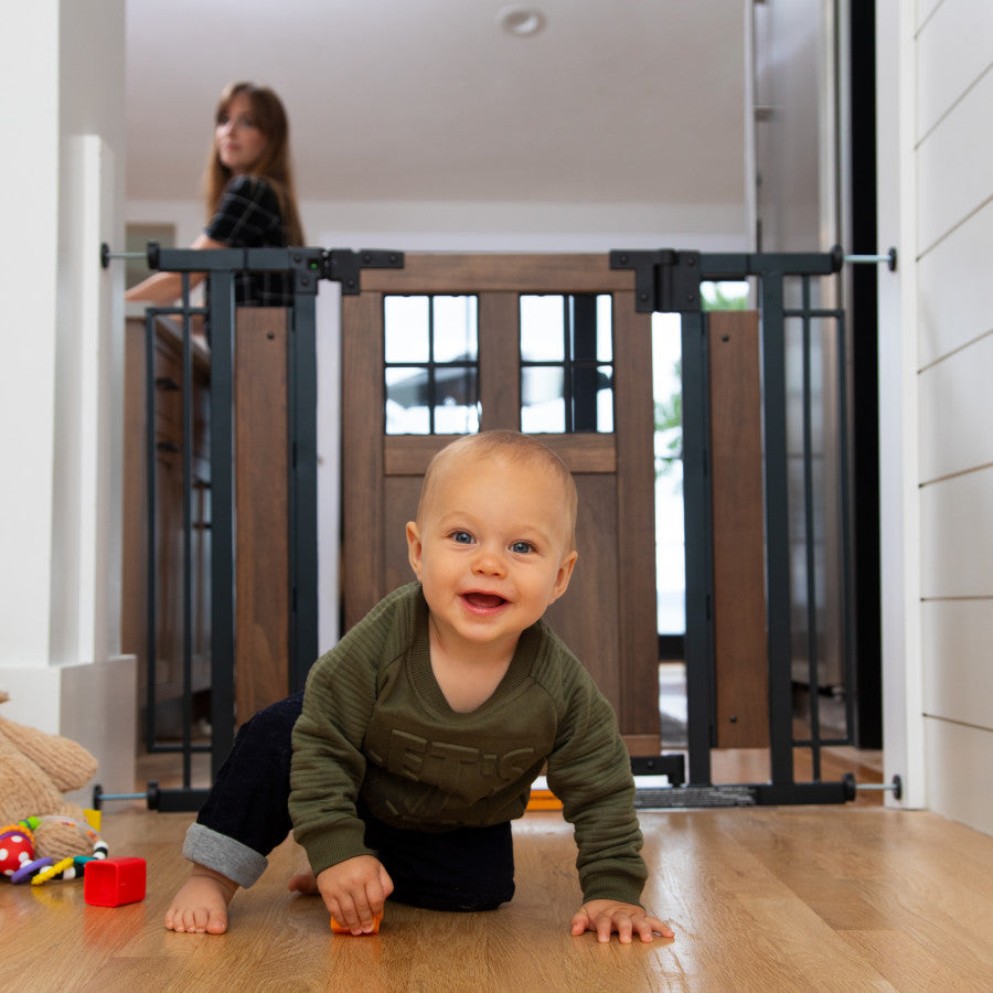 Barn Door Walk-Thru Gate