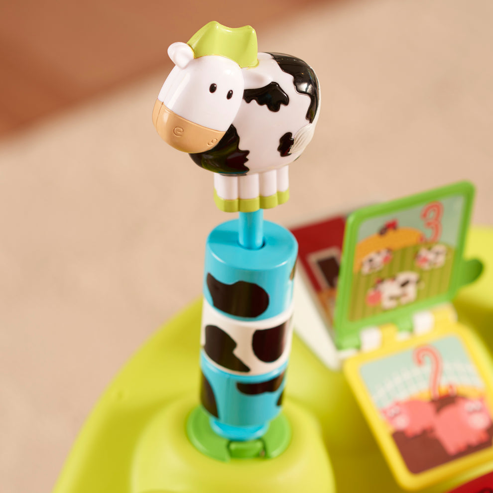 Fisher Price Bounce And Spin Zebra Instructions Bounce Spin Zebra